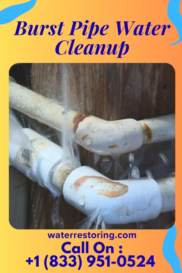 Burst Pipe Water Cleanup in Keithsburg, IL