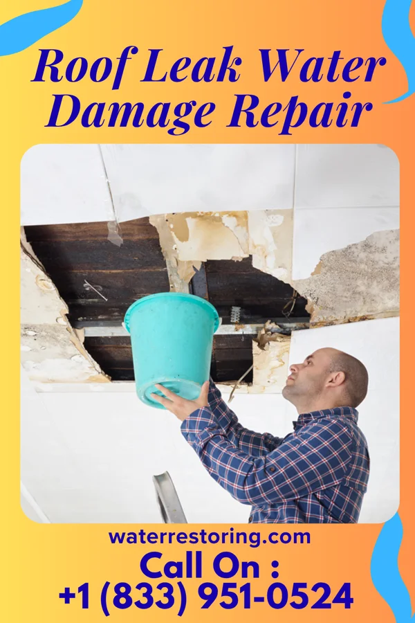 Roof Leak Water Damage Repair in Keithsburg, IL